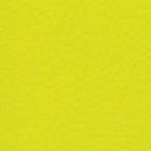 Meet your Posher, Britney